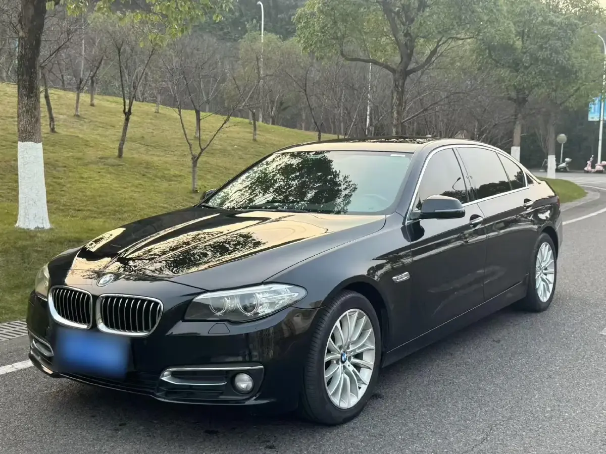 2017 BMW 5 Series 2.0T 218HP L4 8AT