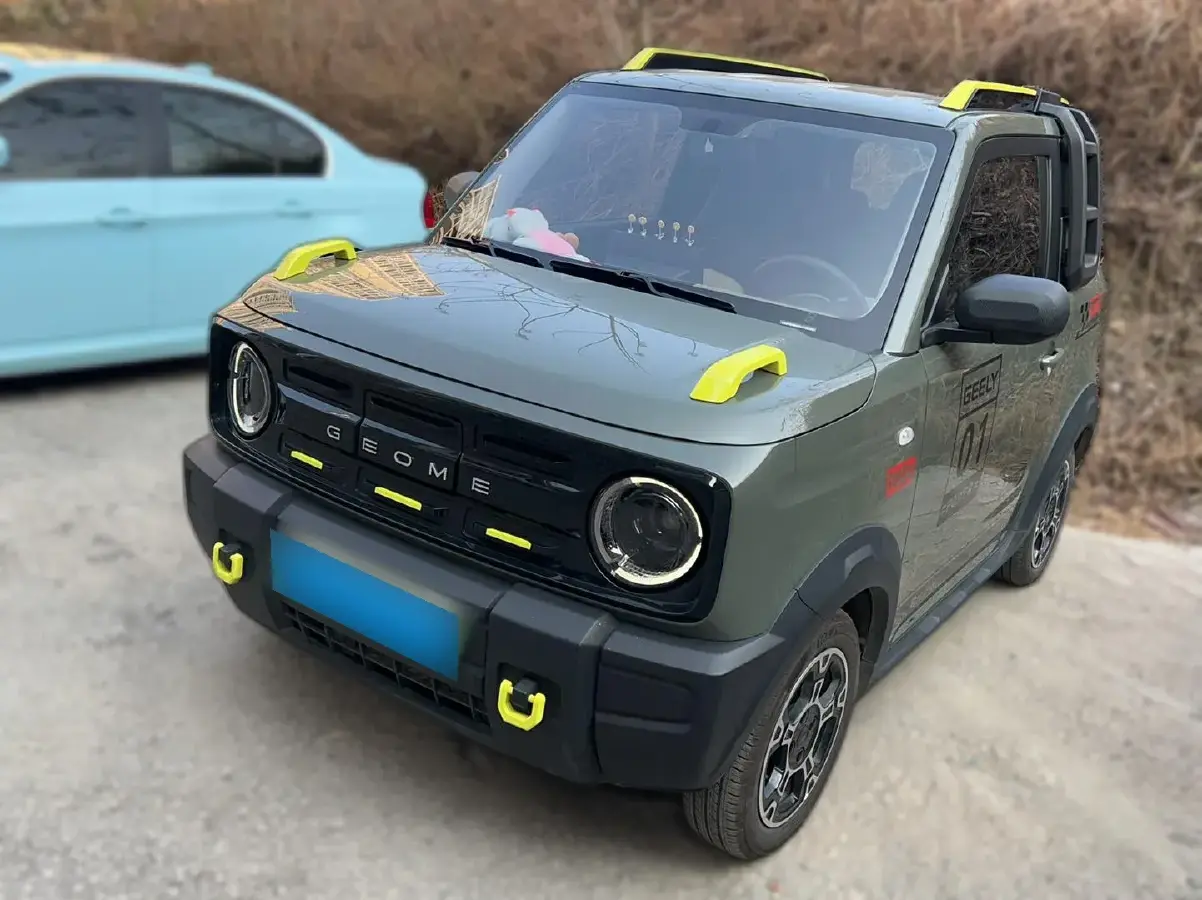 2024 Geely Panda BEV 17.03KWH