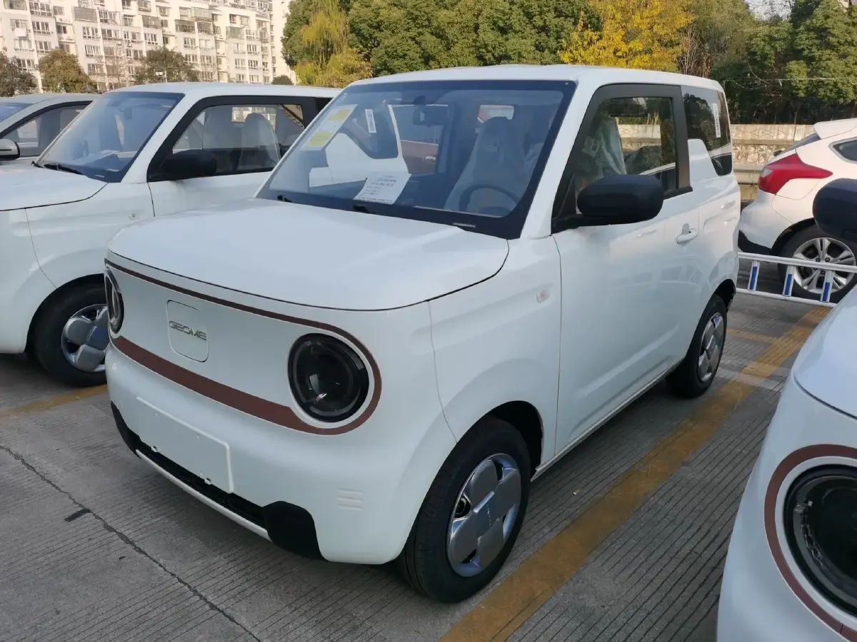 2024 Geely Panda BEV 17.03KWH