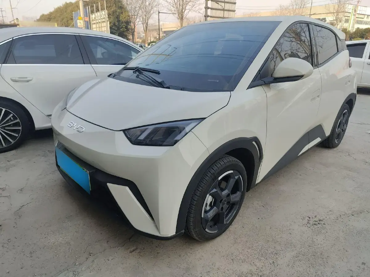 2024 BYD Seagull BEV 38.88KWH