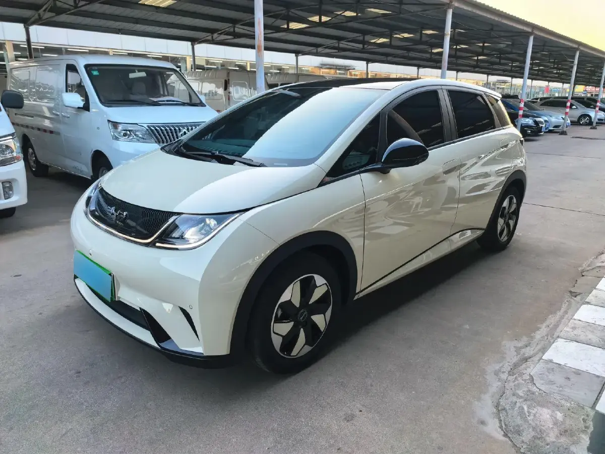 2024 BYD Dolphin BEV 44.928KWH