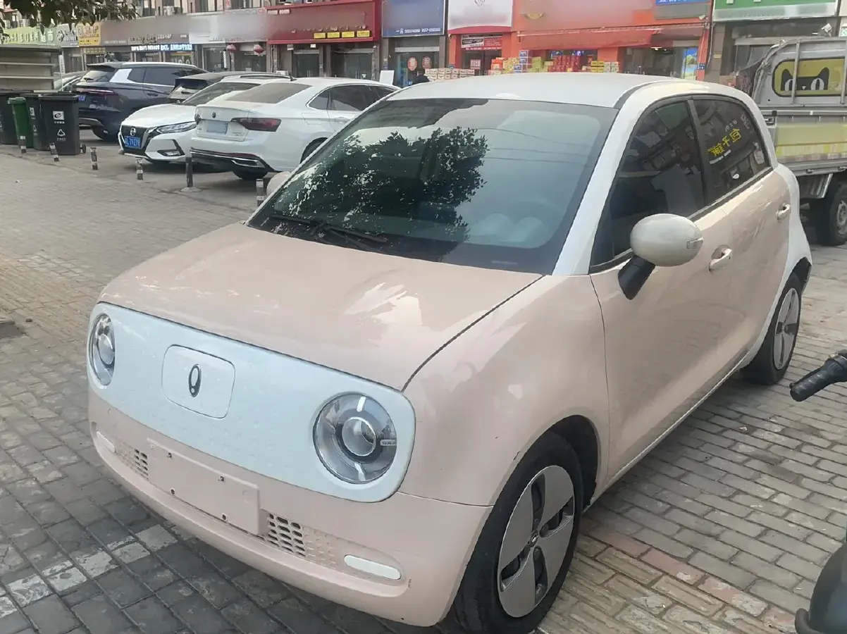 2021 Ora BlackCat BEV 30.3KWH