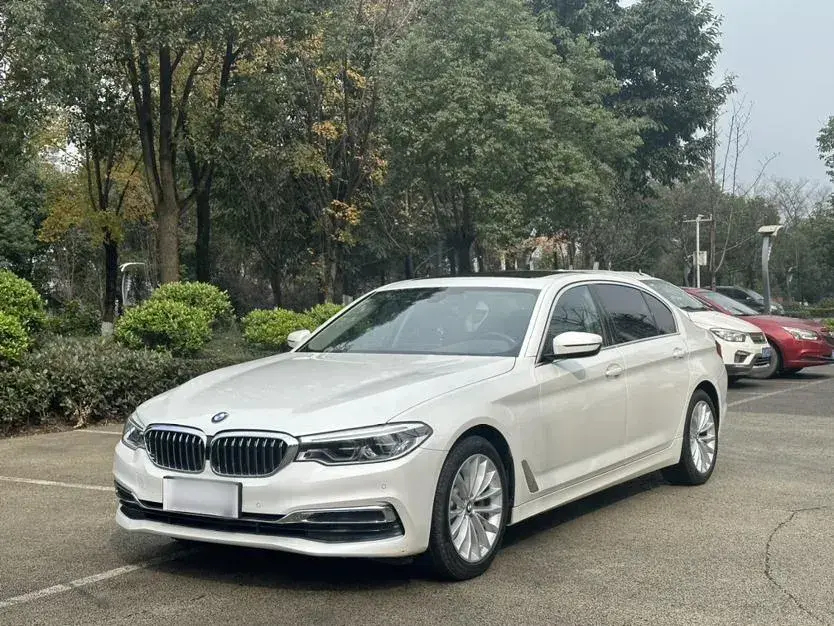 2020 BMW 5 Series 2.0T 252HP L4 8AT
