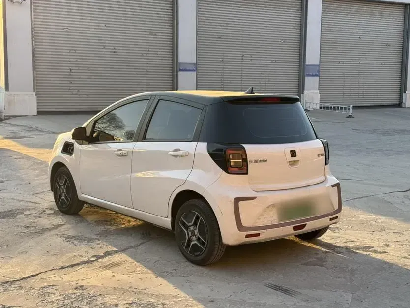 2021 Sehol HuaXianZi BEV 31.4KWH,autocango,china used car exporter,china ev exporter,chinese used car exporter,chinese used ev exporter