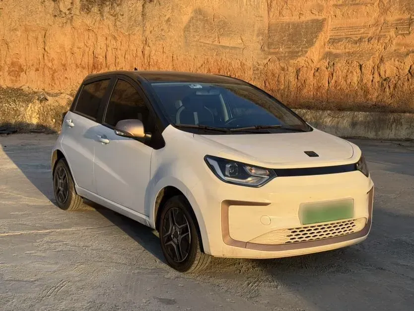 2021 Sehol HuaXianZi BEV 31.4KWH,autocango,china used car exporter,china ev exporter,chinese used car exporter,chinese used ev exporter
