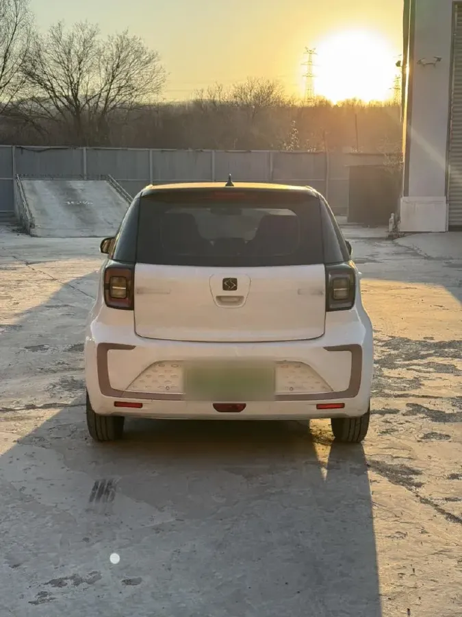 2021 Sehol HuaXianZi BEV 31.4KWH,autocango,china used car exporter,china ev exporter,chinese used car exporter,chinese used ev exporter