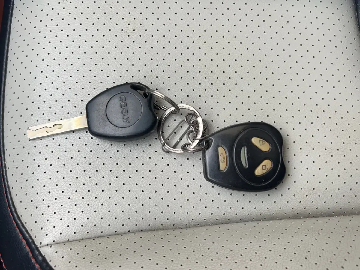 2015 Geely Panda Classic 1.5L 94HP L4 4AT,autocango,china used car exporter,china ev exporter,chinese used car exporter,chinese used ev exporter