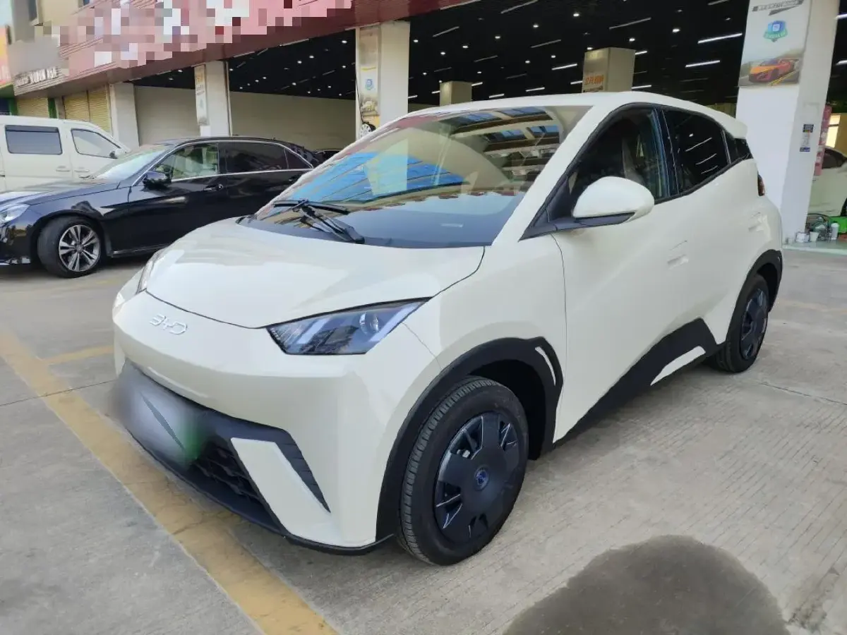 2025 BYD Seagull BEV 30.08KWH