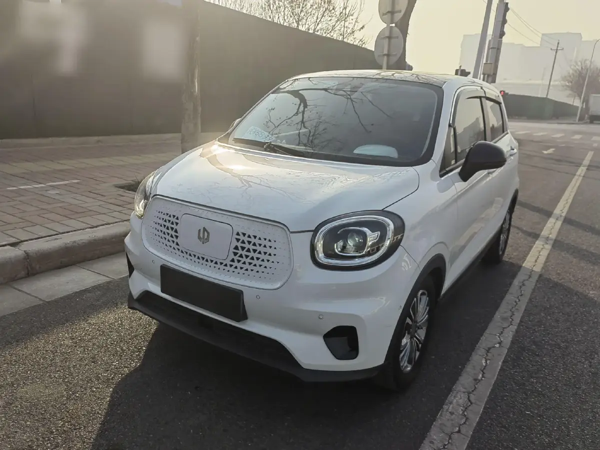 2020 Leapmotor T03 BEV 38KWH