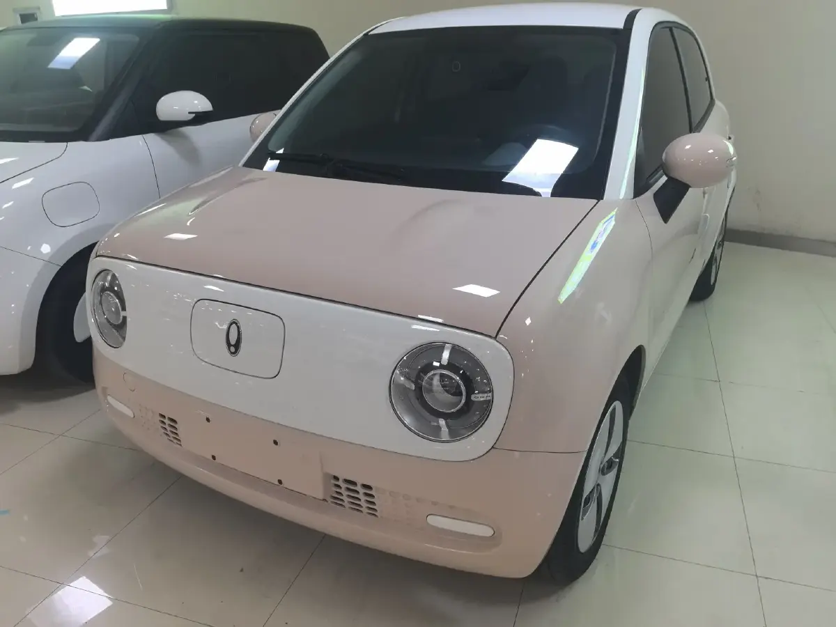 2022 Ora BlackCat BEV 30.3KWH