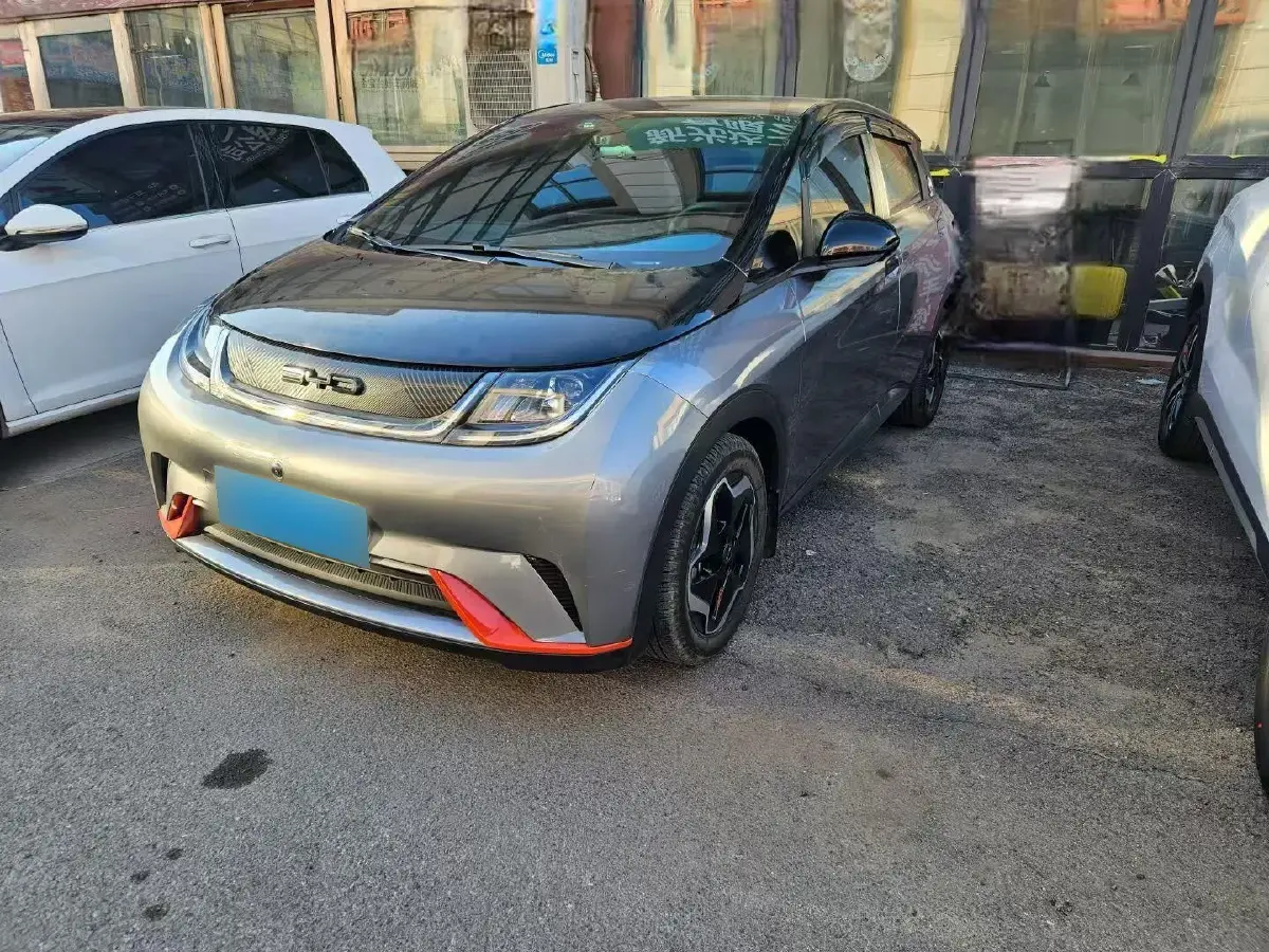 2021 BYD Dolphin BEV 44.9KWH