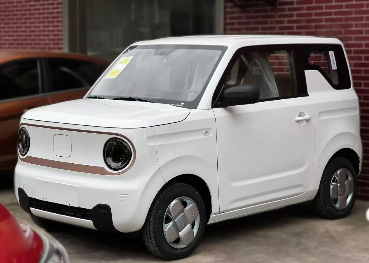 2024 Geely Panda BEV 17.03KWH