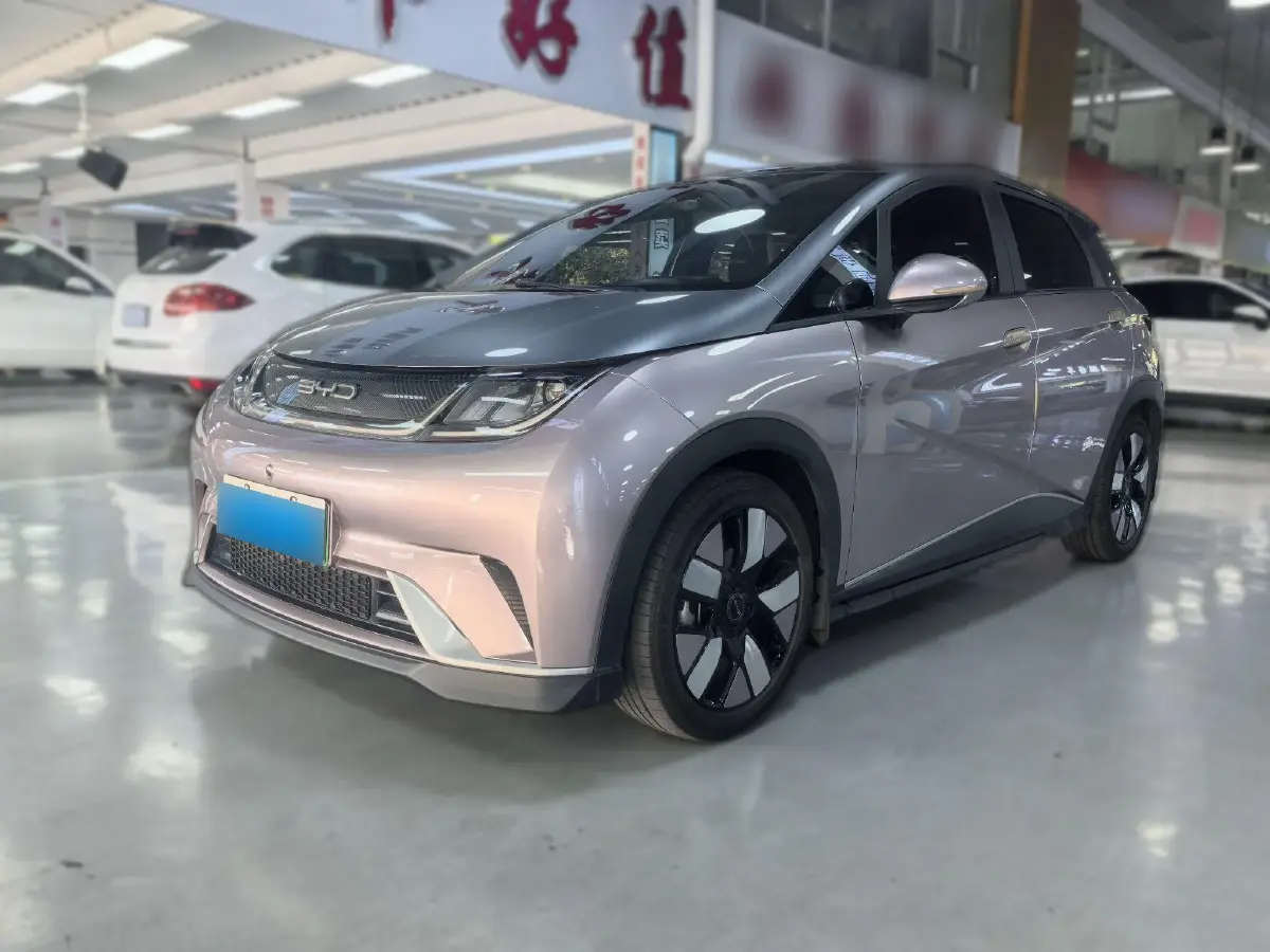 2021 BYD Dolphin BEV 44.9KWH