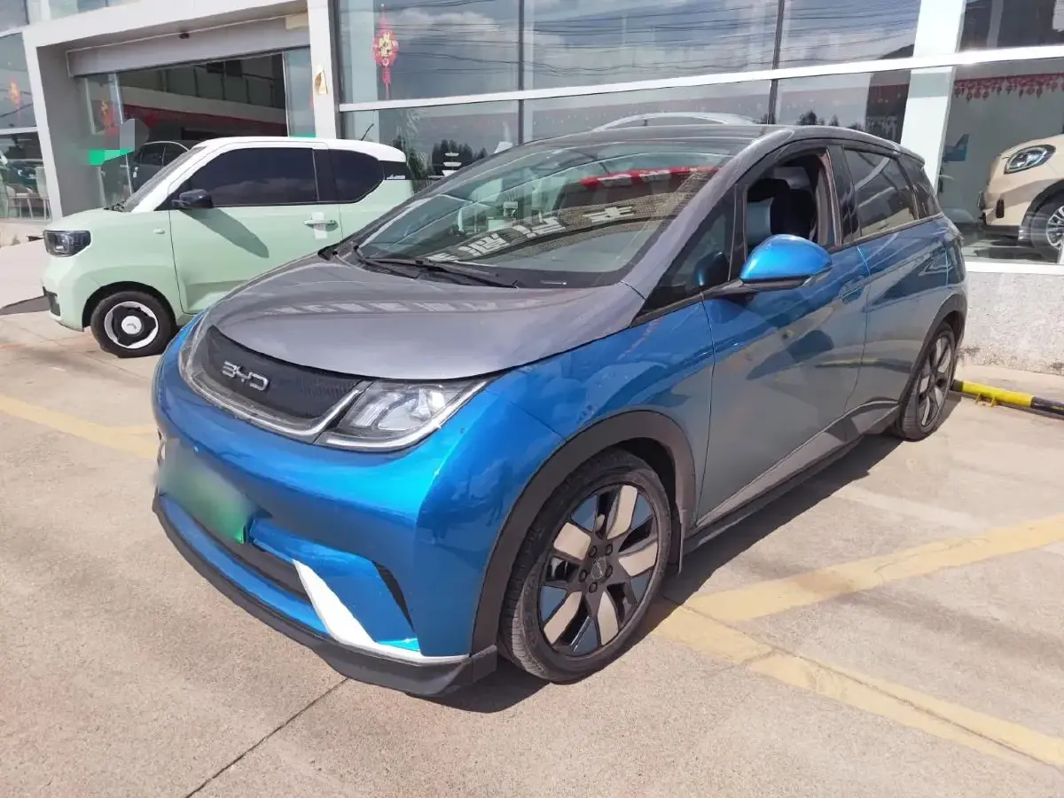 2021 BYD Dolphin BEV 44.9KWH
