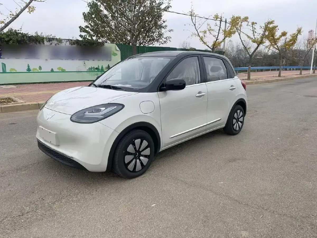 2024 WuLing BinGuo BEV 31.9KWH