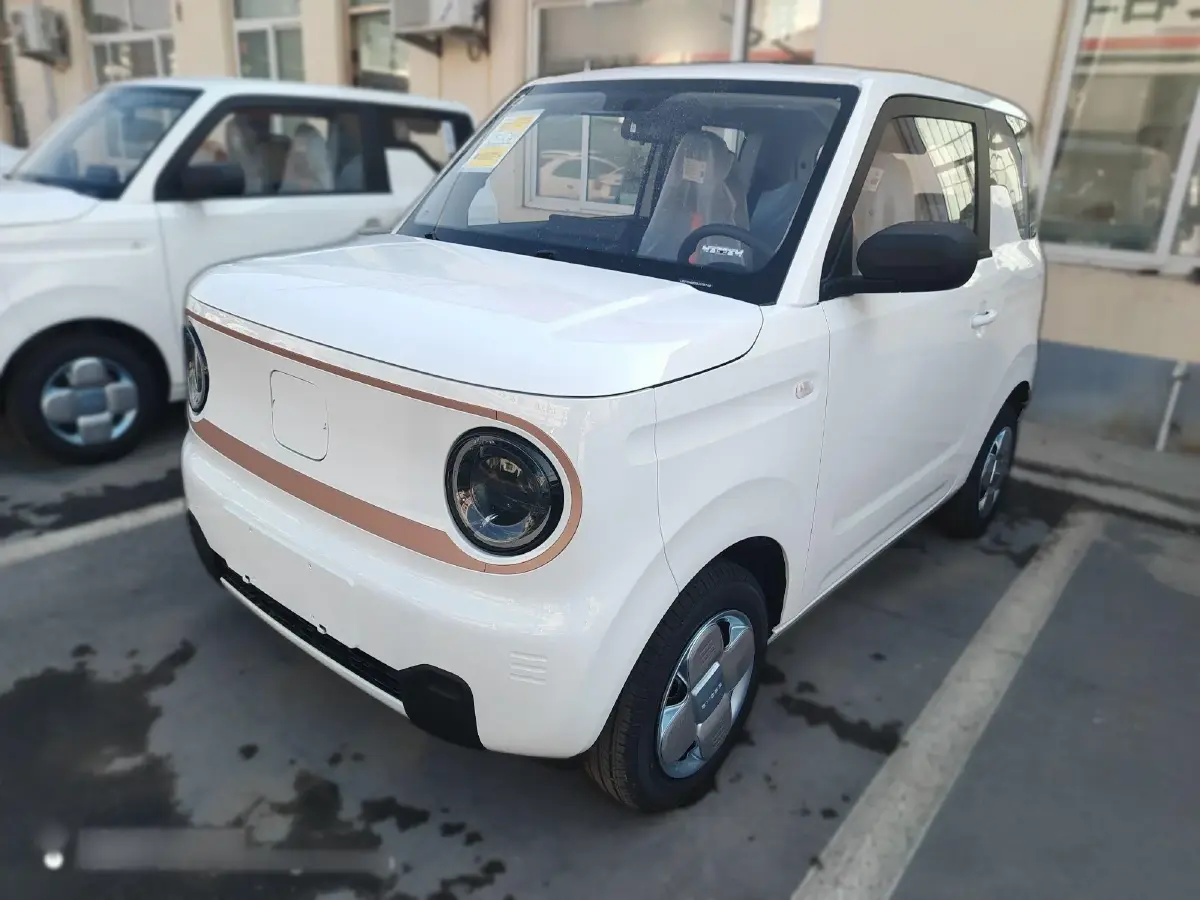2024 Geely Panda BEV 17.03KWH