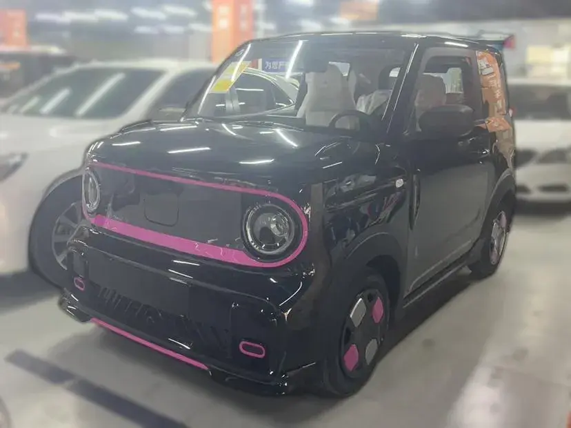 2024 Geely Panda BEV 17.03KWH