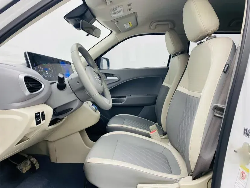 2020 Ora WhiteCat BEV 36KWH,autocango,china used car exporter,china ev exporter,chinese used car exporter,chinese used ev exporter