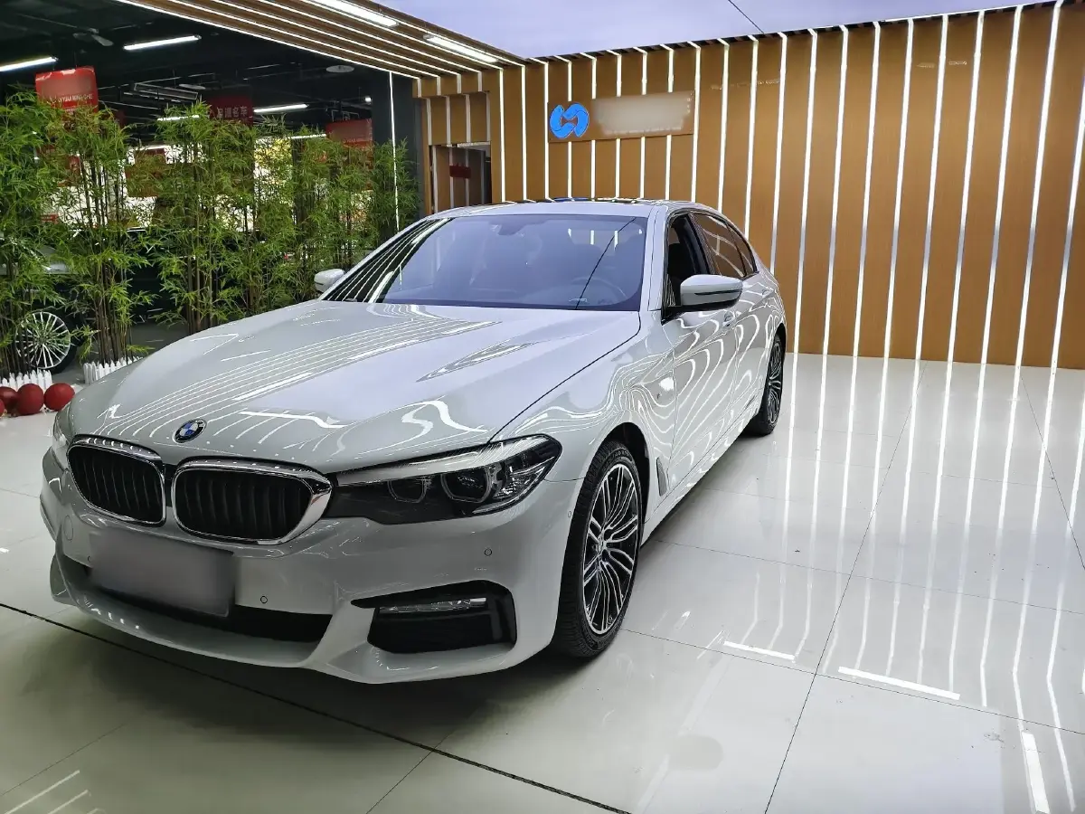 2018 BMW 5 Series 2.0T 252HP L4 8AT