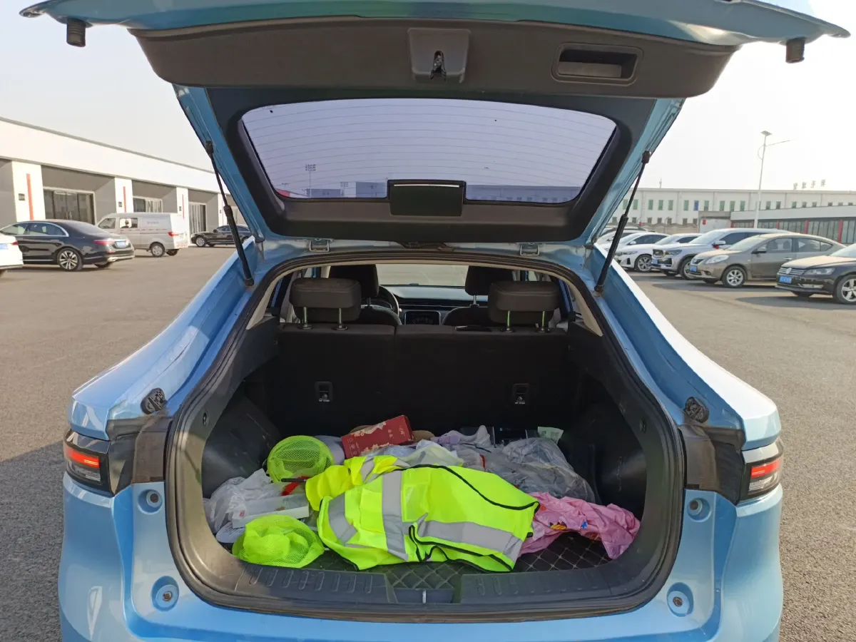 2018 Ora iQ BEV 46.57KWH,autocango,china used car exporter,china ev exporter,chinese used car exporter,chinese used ev exporter