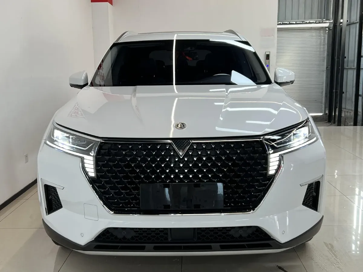2023 Venucia Star 1.5T 190HP L4 7DCT,autocango,china used car exporter,china ev exporter,chinese used car exporter,chinese used ev exporter