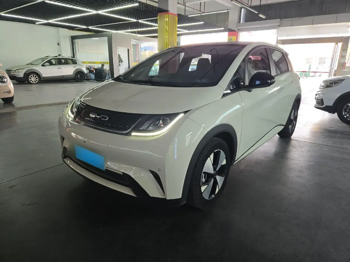 2023 BYD Dolphin BEV 44.928KWH