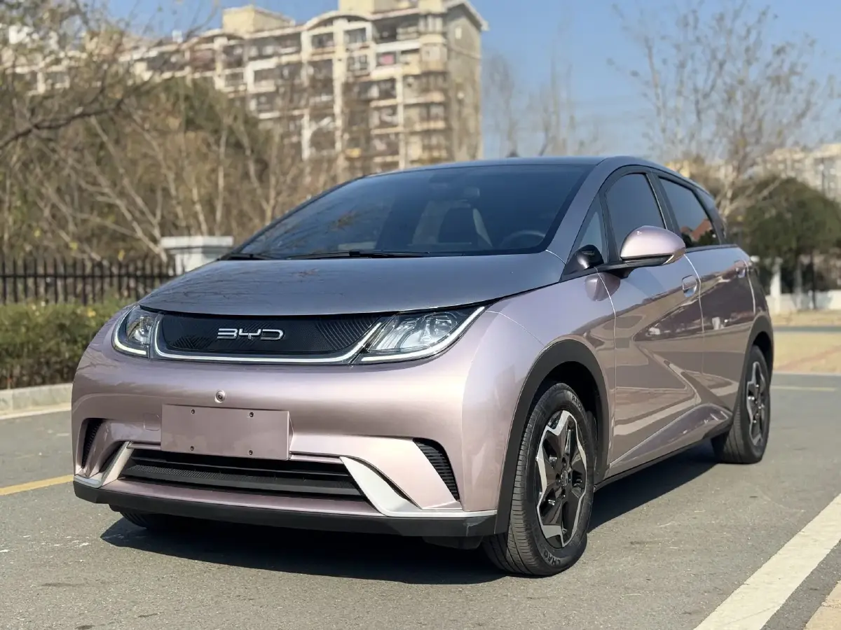 2021 BYD Dolphin BEV 44.9KWH