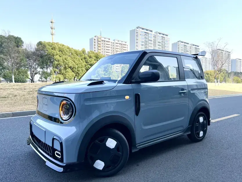 2024 Geely Panda BEV 17.03KWH