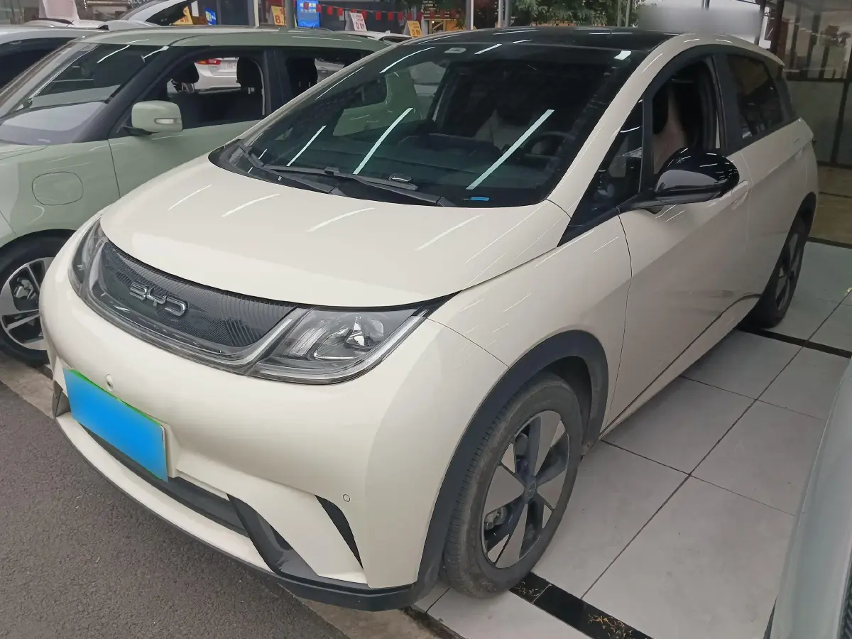 2023 BYD Dolphin BEV 44.928KWH