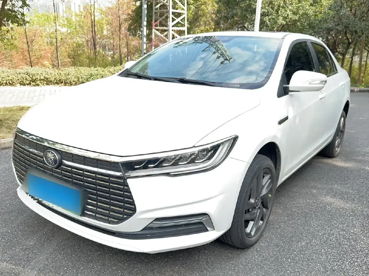 2019 BYD Qin BEV 53.1KWH