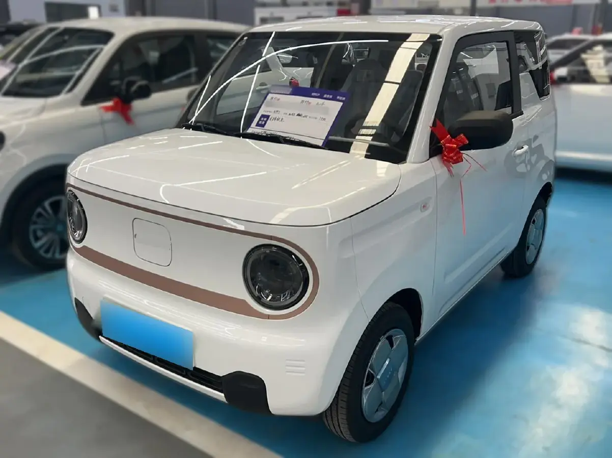 2024 Geely Panda BEV 17.03KWH