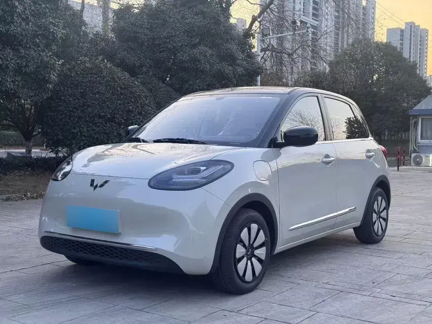 2024 WuLing BinGuo BEV 31.9KWH
