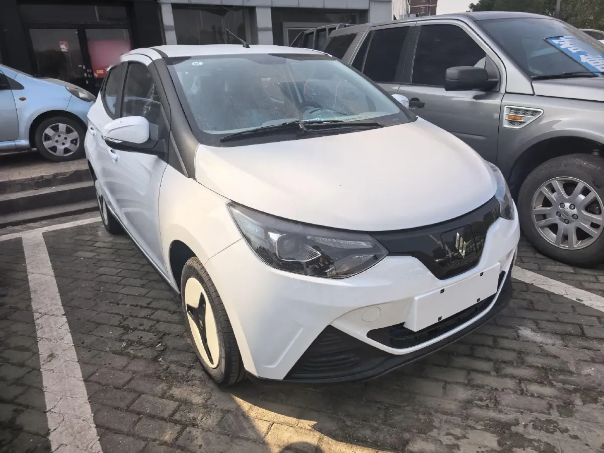 2024 JMEV Little Kylin BEV 15.86KWH,autocango,china used car exporter,china ev exporter,chinese used car exporter,chinese used ev exporter