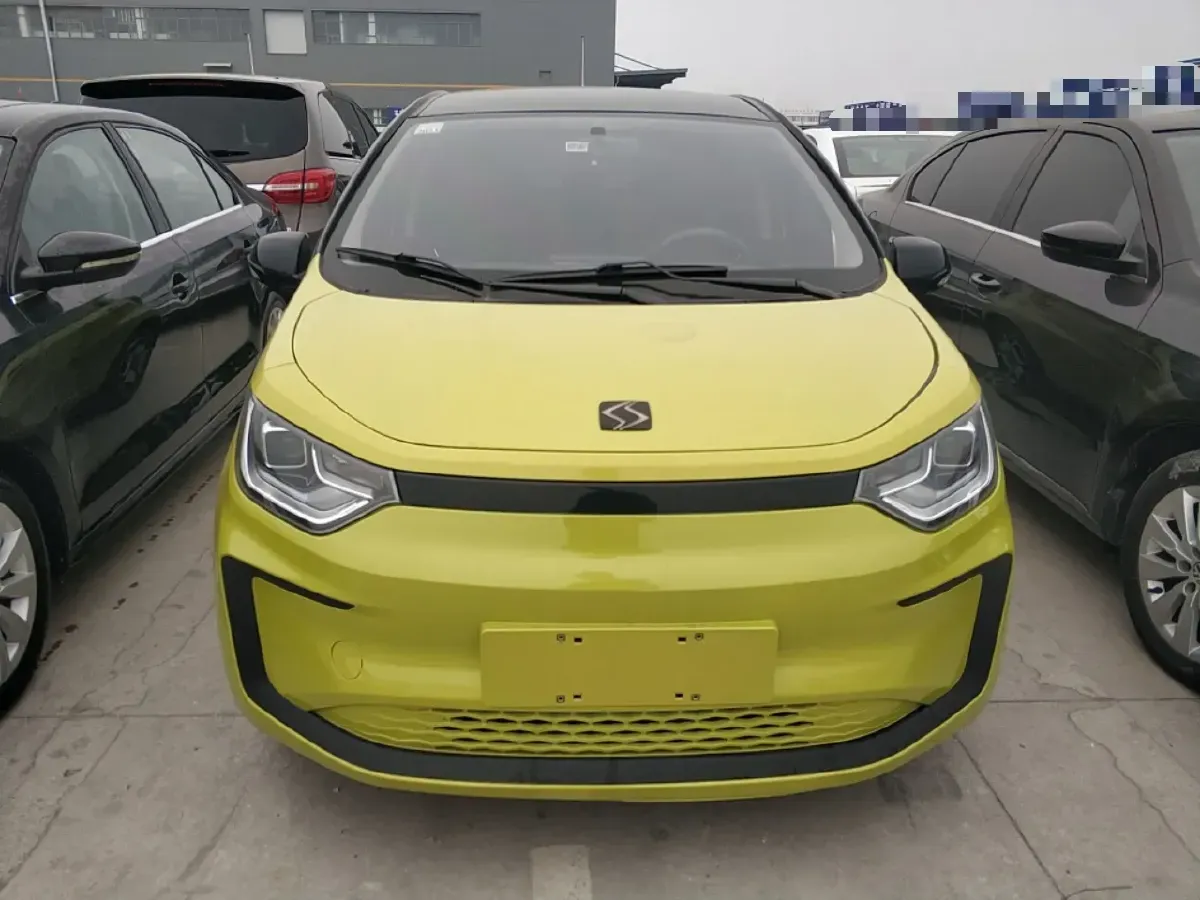 2021 Sehol HuaXianZi BEV 31.4KWH,autocango,china used car exporter,china ev exporter,chinese used car exporter,chinese used ev exporter