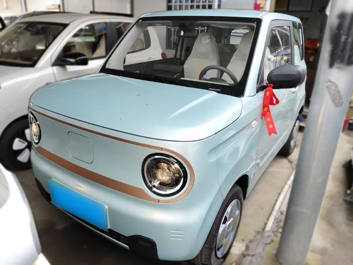 2024 Geely Panda BEV 17.03KWH