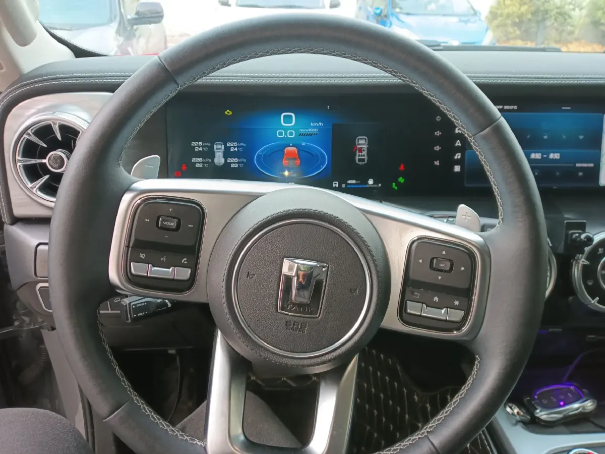 2021 Tank 300 2.0T 227HP L4 8AT,autocango,china used car exporter,china ev exporter,chinese used car exporter,chinese used ev exporter