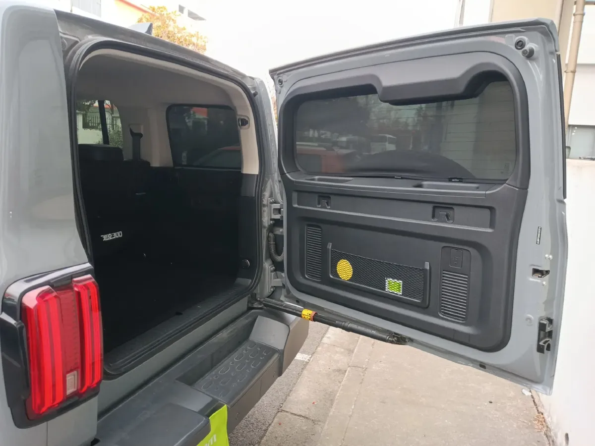 2021 Tank 300 2.0T 227HP L4 8AT,autocango,china used car exporter,china ev exporter,chinese used car exporter,chinese used ev exporter