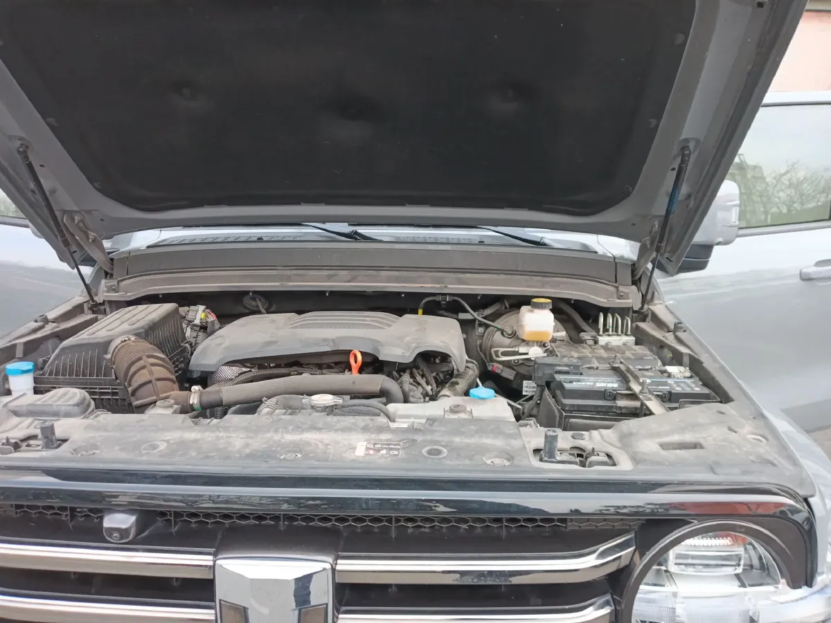 2021 Tank 300 2.0T 227HP L4 8AT,autocango,china used car exporter,china ev exporter,chinese used car exporter,chinese used ev exporter