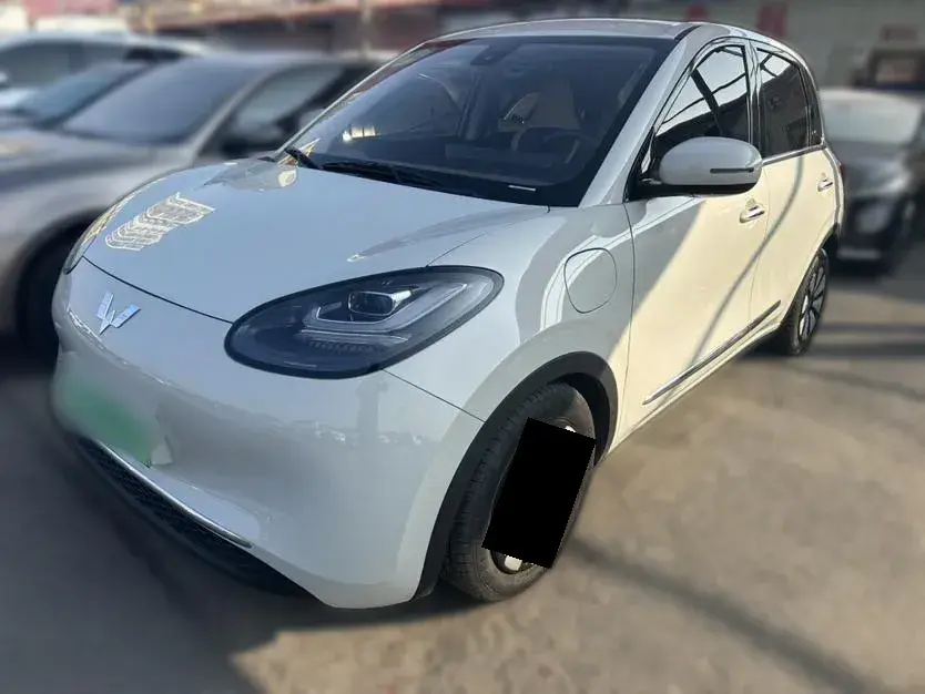 2023 WuLing BinGuo BEV 31.9KWH