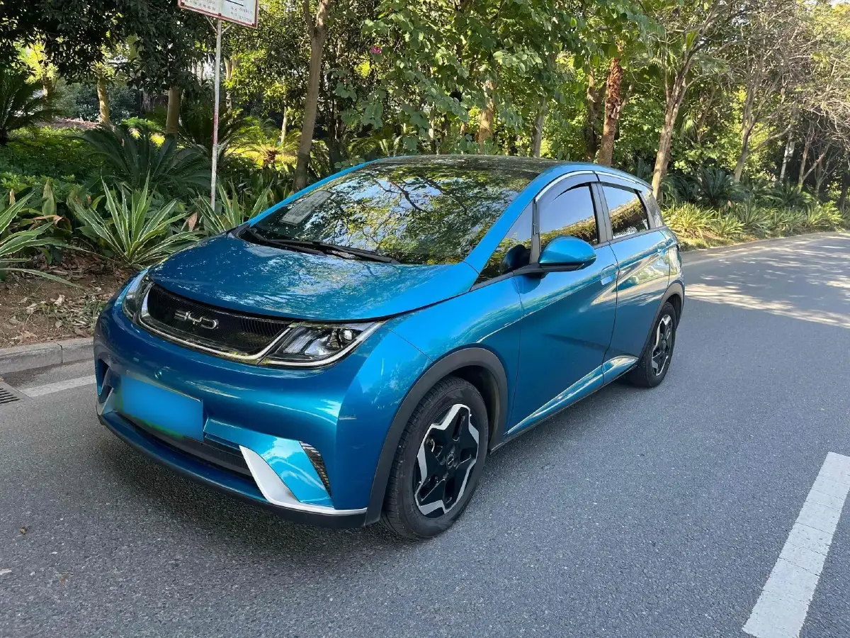2021 BYD Dolphin BEV 44.9KWH