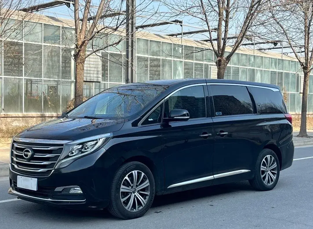 2020 GAC Trumpchi M8 2.0T 252HP L4 8AT