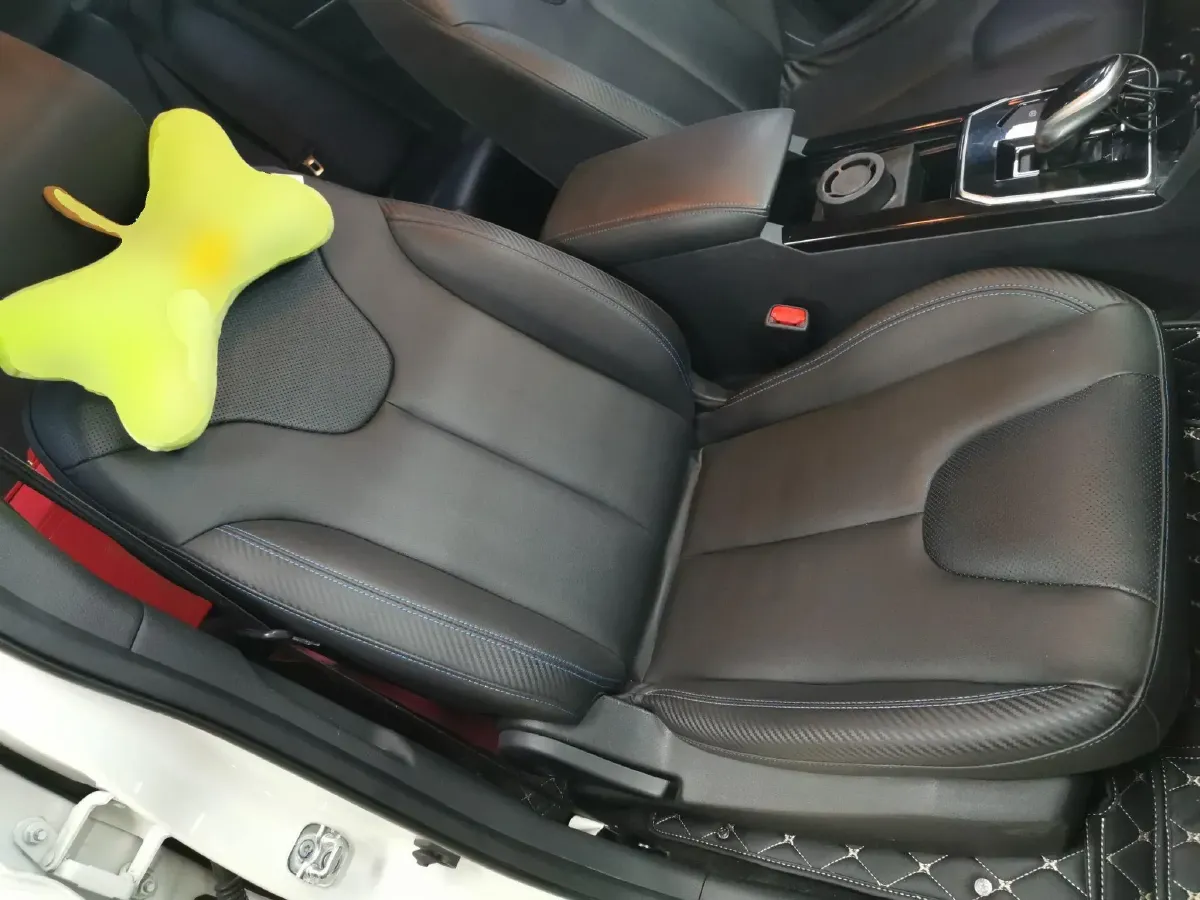 2020 Venucia D60 EV BEV 50KWH,autocango,china used car exporter,china ev exporter,chinese used car exporter,chinese used ev exporter