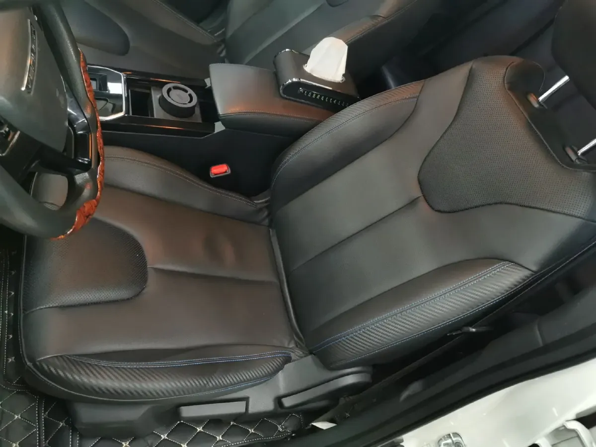 2020 Venucia D60 EV BEV 50KWH,autocango,china used car exporter,china ev exporter,chinese used car exporter,chinese used ev exporter