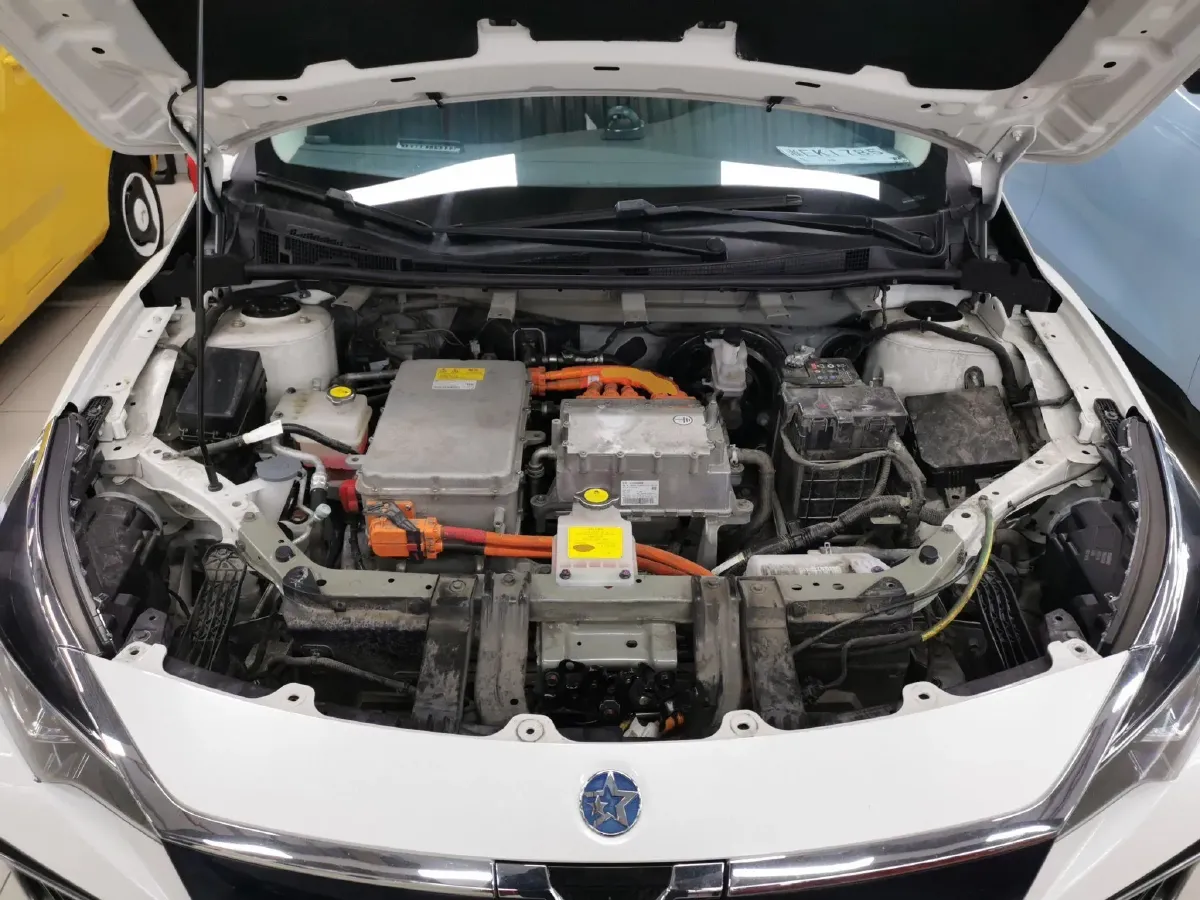 2020 Venucia D60 EV BEV 50KWH,autocango,china used car exporter,china ev exporter,chinese used car exporter,chinese used ev exporter