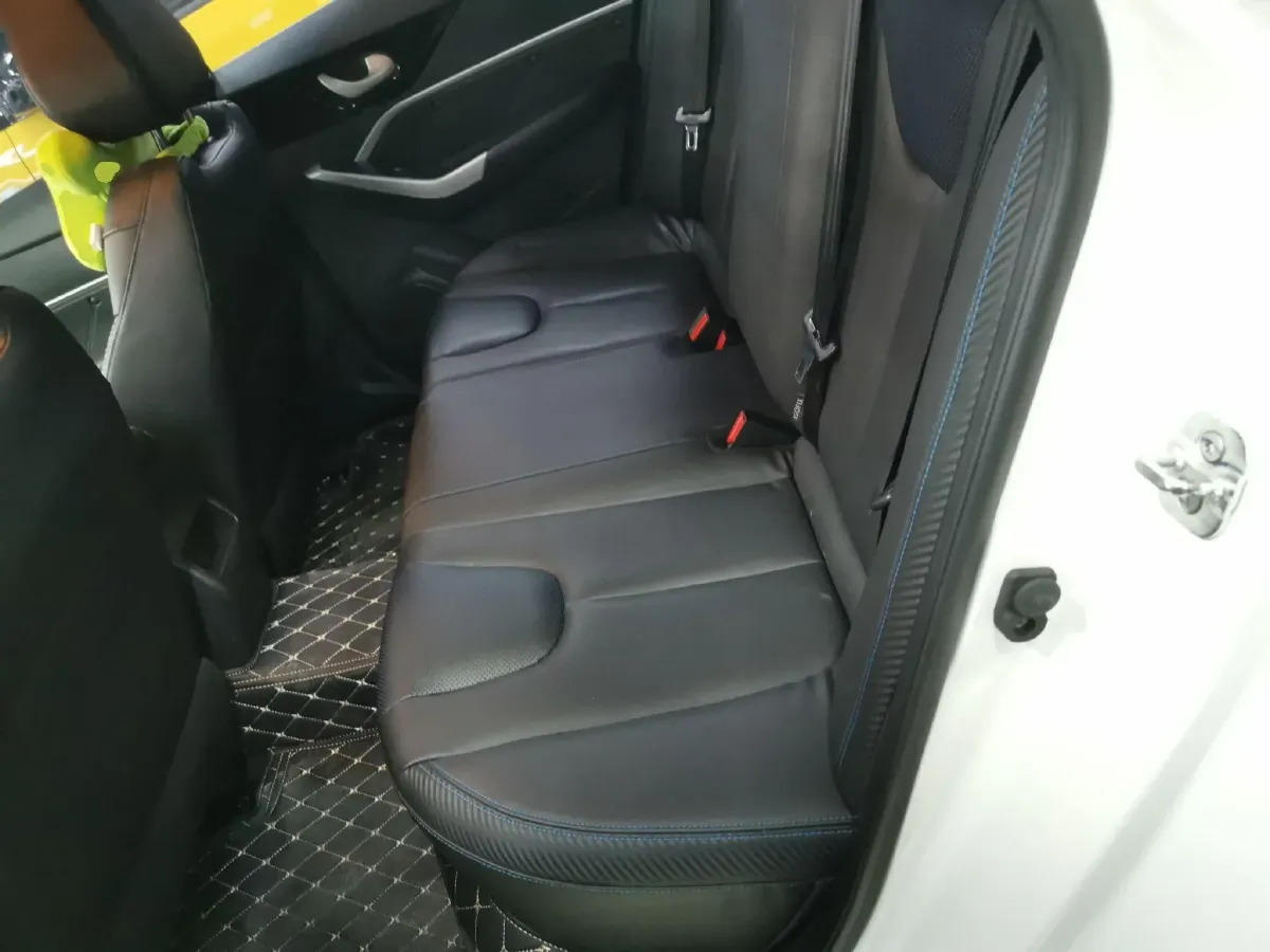 2020 Venucia D60 EV BEV 50KWH,autocango,china used car exporter,china ev exporter,chinese used car exporter,chinese used ev exporter