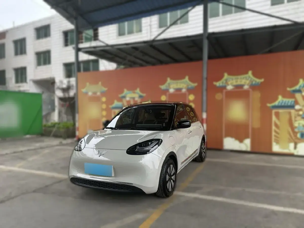 2024 WuLing BinGuo BEV 31.9KWH