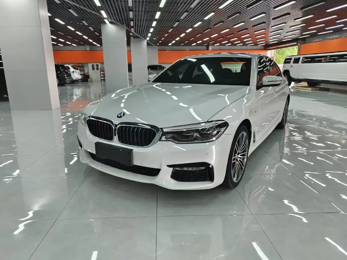 2018 BMW 5 Series 2.0T 252HP L4 8AT