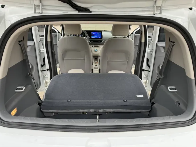 2020 Ora WhiteCat BEV 29.4KWH,autocango,china used car exporter,china ev exporter,chinese used car exporter,chinese used ev exporter