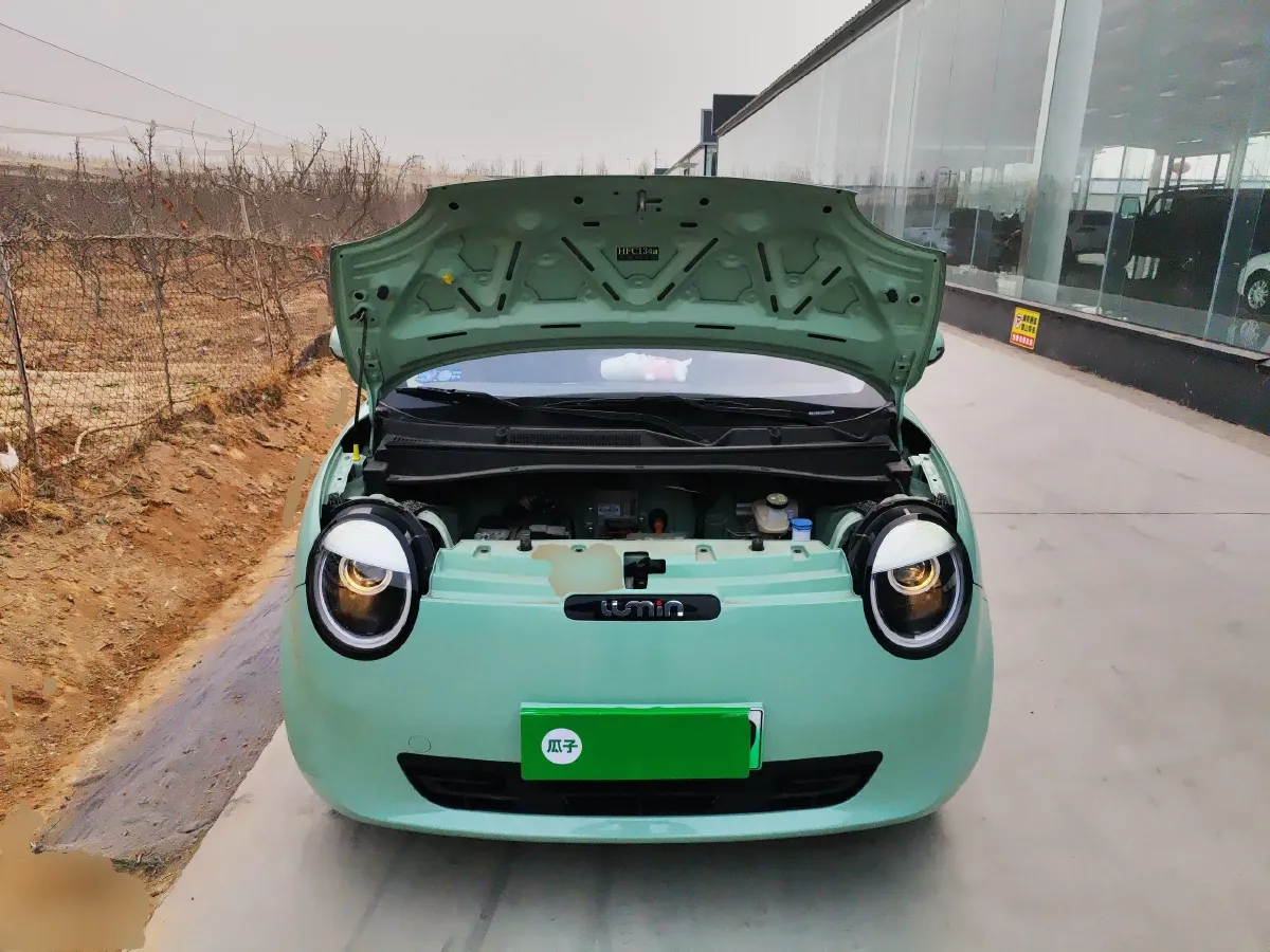 2022 ChangAn Lumin BEV 12.92KWH,autocango,china used car exporter,china ev exporter,chinese used car exporter,chinese used ev exporter