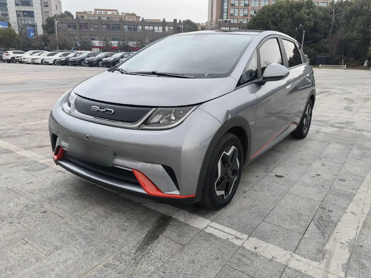 2021 BYD Dolphin BEV 44.9KWH